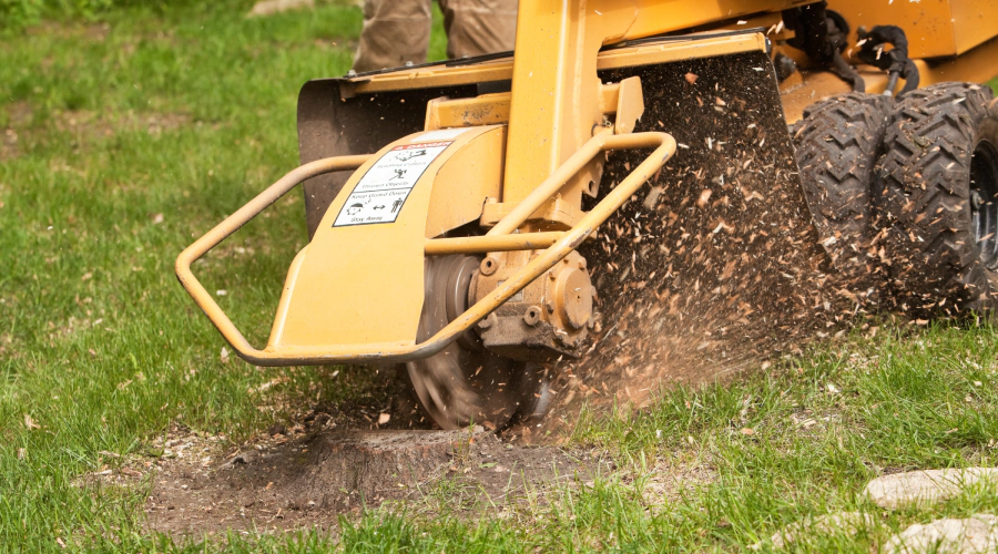 Stump Grinding